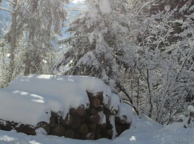 Am Erlachhof * Söll